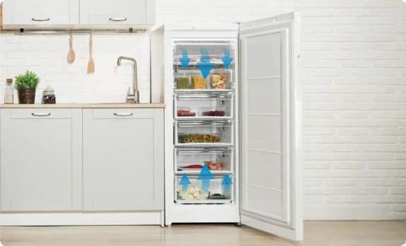 Морозильная камера Indesit DFZ 5175 G: обзор, фото - официальный